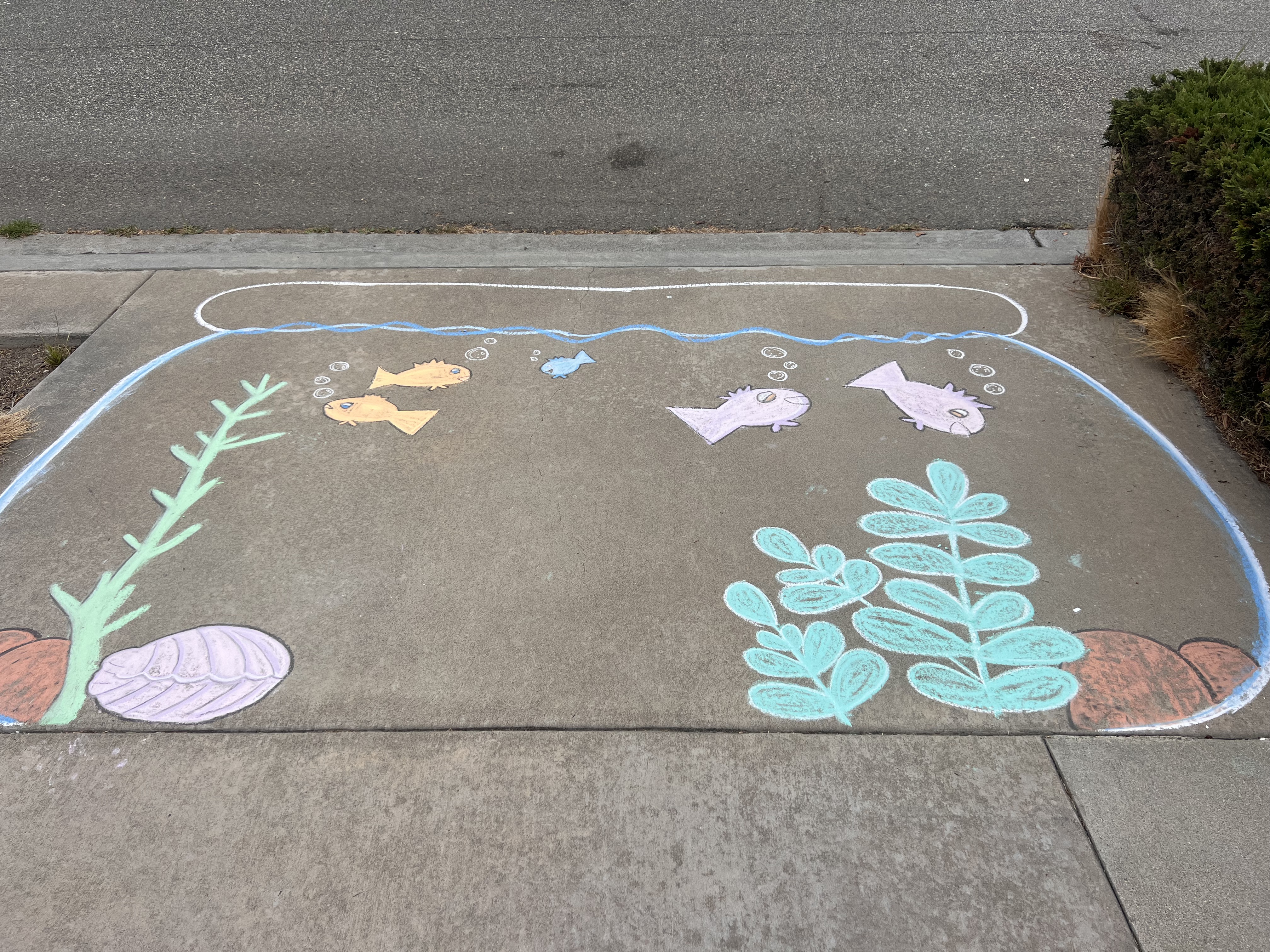 Aquarium chalk art with fish